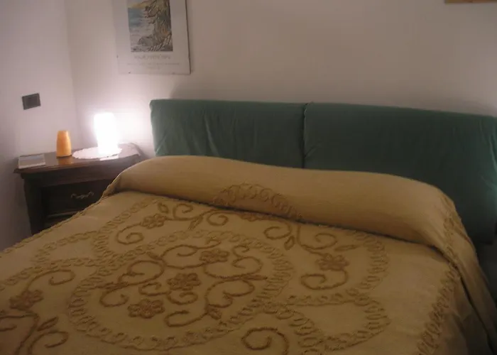 Il Gatto Zorba La Spezia